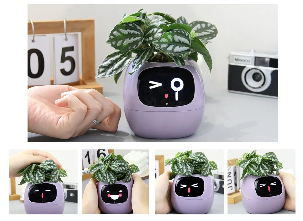 AI-powered plant monitoring smart planter with automatic watering alerts