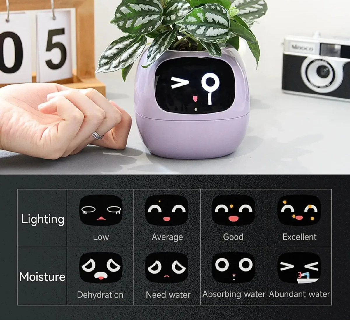 Interactive AI smart planter for home and office gardening with advanced sensors