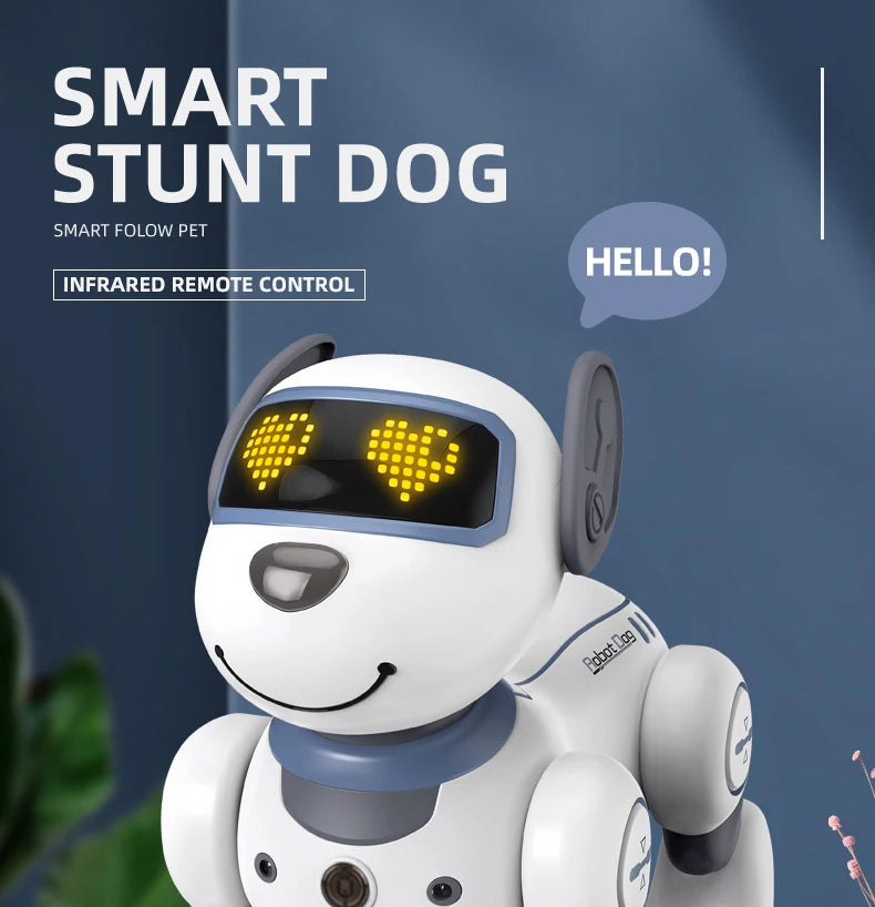 Robot dog gift toy for boys and girls who love pets and technology
